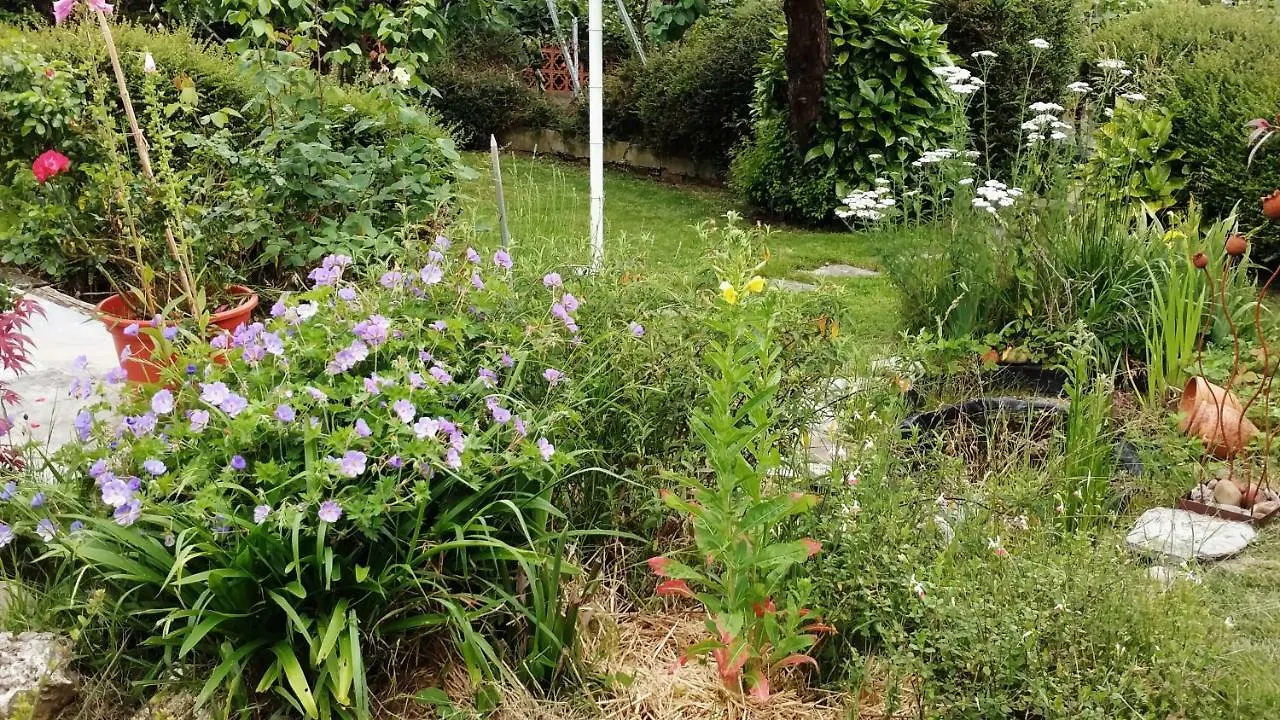 Appartamento Hillside View Plentzia